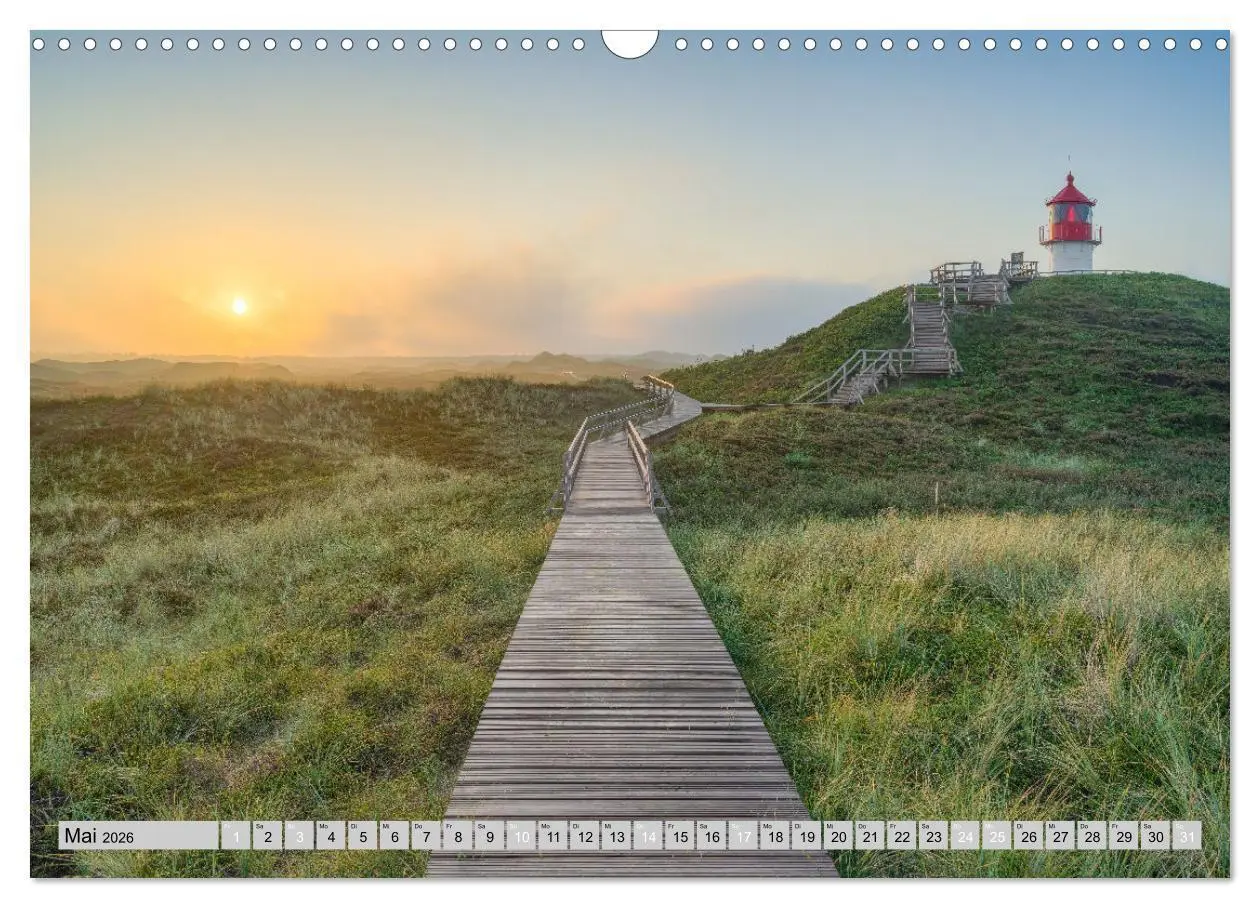Bild: 9783457322253 | Wunderschönes Amrum (Wandkalender 2026 DIN A3 quer), CALVENDO...