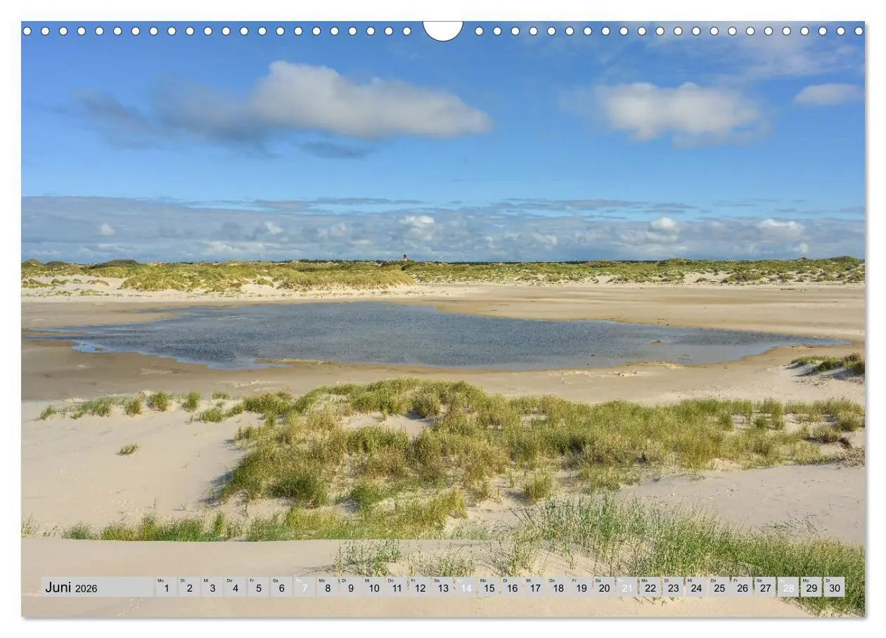 Bild: 9783457322253 | Wunderschönes Amrum (Wandkalender 2026 DIN A3 quer), CALVENDO...