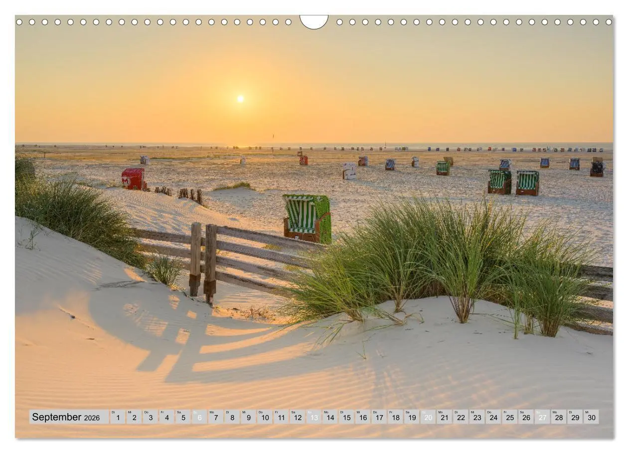 Bild: 9783457322253 | Wunderschönes Amrum (Wandkalender 2026 DIN A3 quer), CALVENDO...