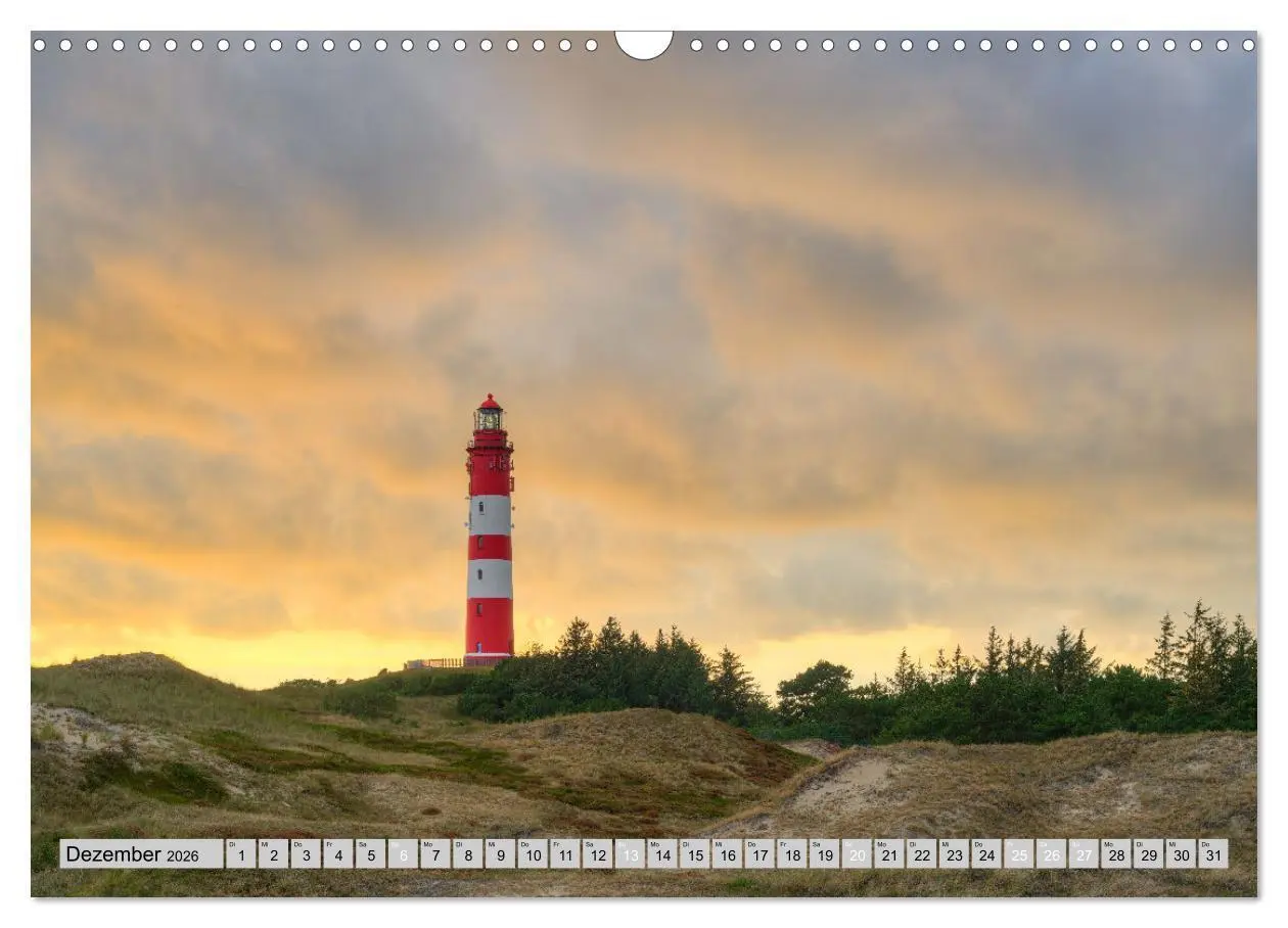 Bild: 9783457322253 | Wunderschönes Amrum (Wandkalender 2026 DIN A3 quer), CALVENDO...