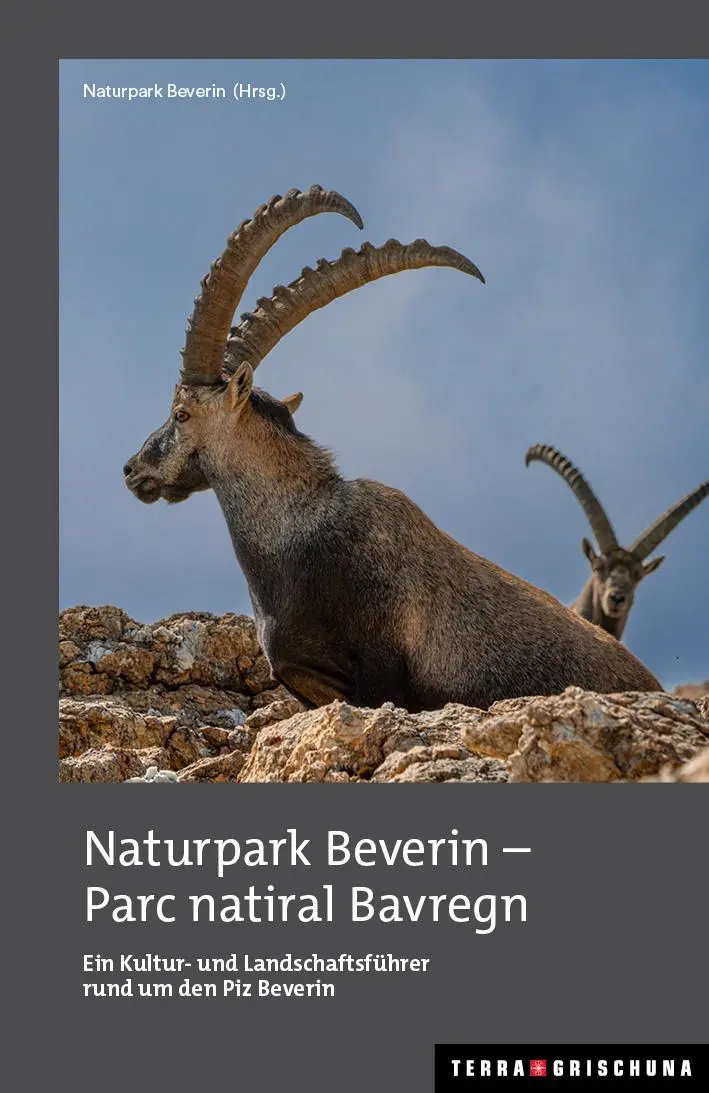 Cover: 9783729812253 | Naturpark Beverin - parc natiral Bavregn | Beverin | Taschenbuch