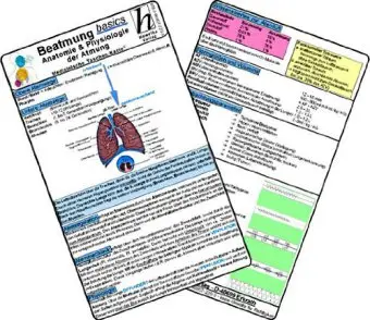 Cover: 9783869572253 | Beatmung basics - Anatomie &amp; Physiologie der Atmung - Medizinische...