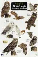 Cover: 9781851532353 | Thomas, L: Guide to British Owls and Owl Pellets | Leanne Thomas