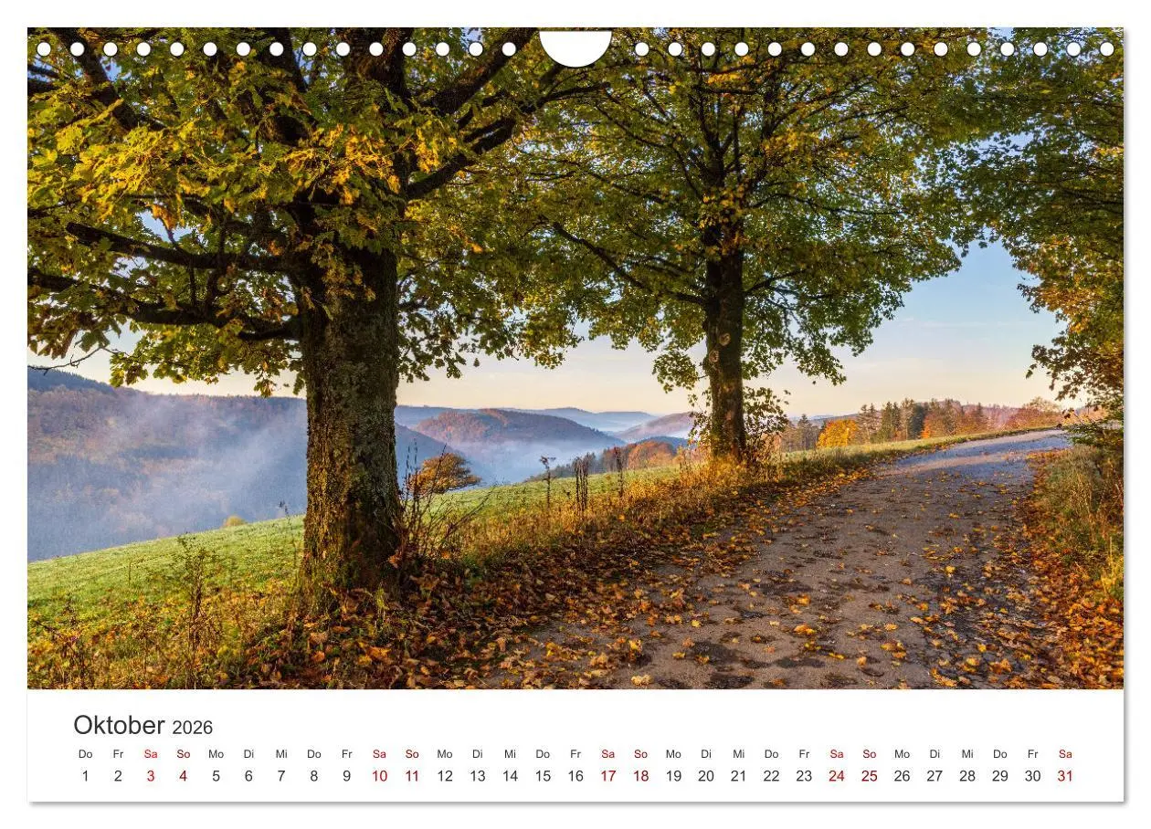 Bild: 9783457552353 | Das Sauerland im Wechsel der Jahreszeiten (Wandkalender 2026 DIN A4...