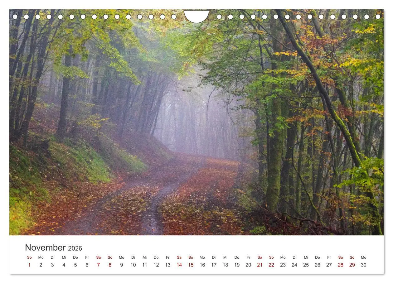 Bild: 9783457552353 | Das Sauerland im Wechsel der Jahreszeiten (Wandkalender 2026 DIN A4...