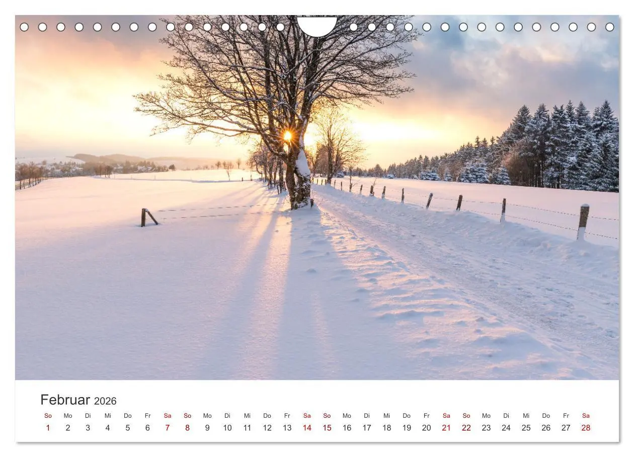 Bild: 9783457552353 | Das Sauerland im Wechsel der Jahreszeiten (Wandkalender 2026 DIN A4...