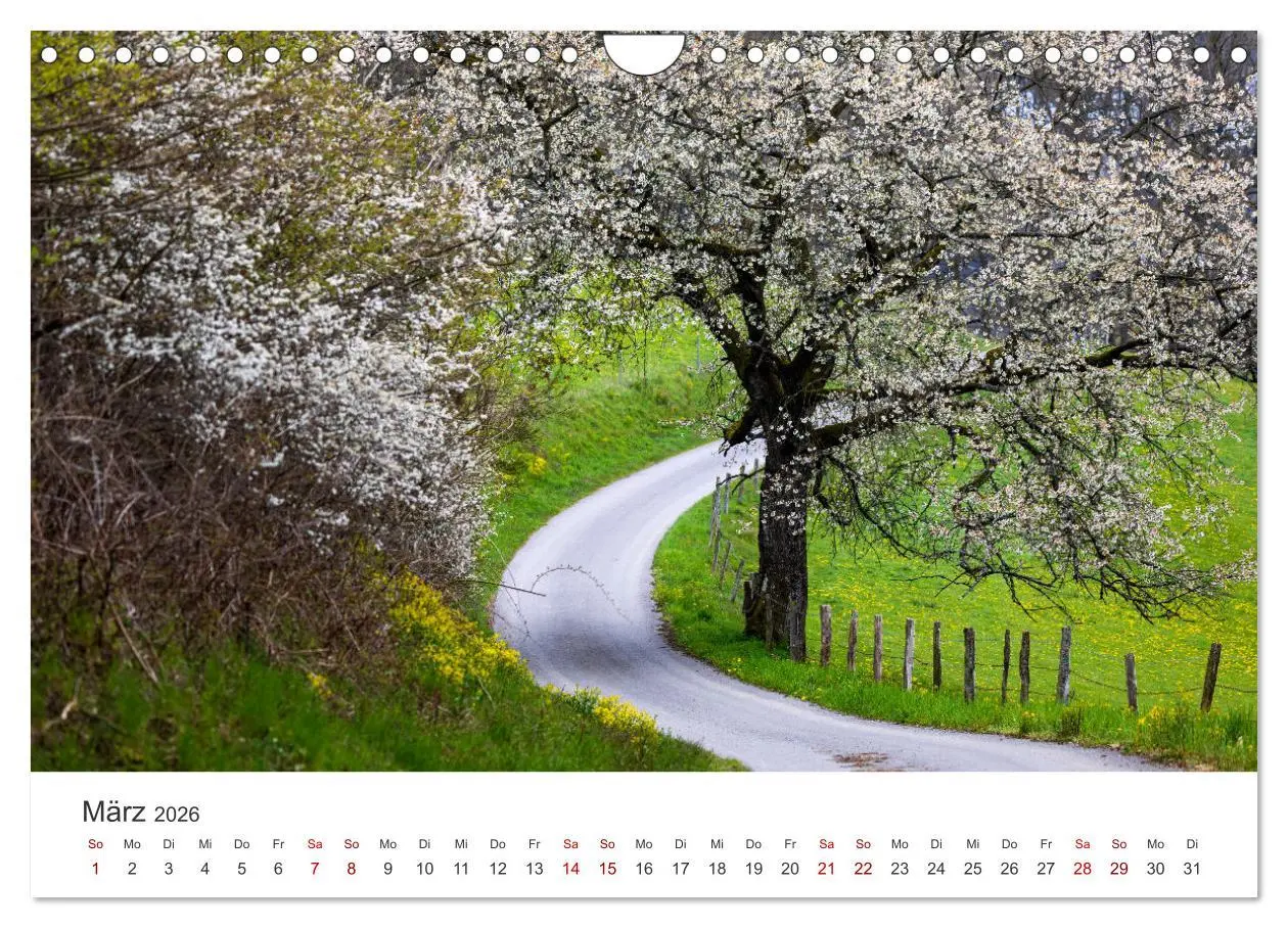 Bild: 9783457552353 | Das Sauerland im Wechsel der Jahreszeiten (Wandkalender 2026 DIN A4...