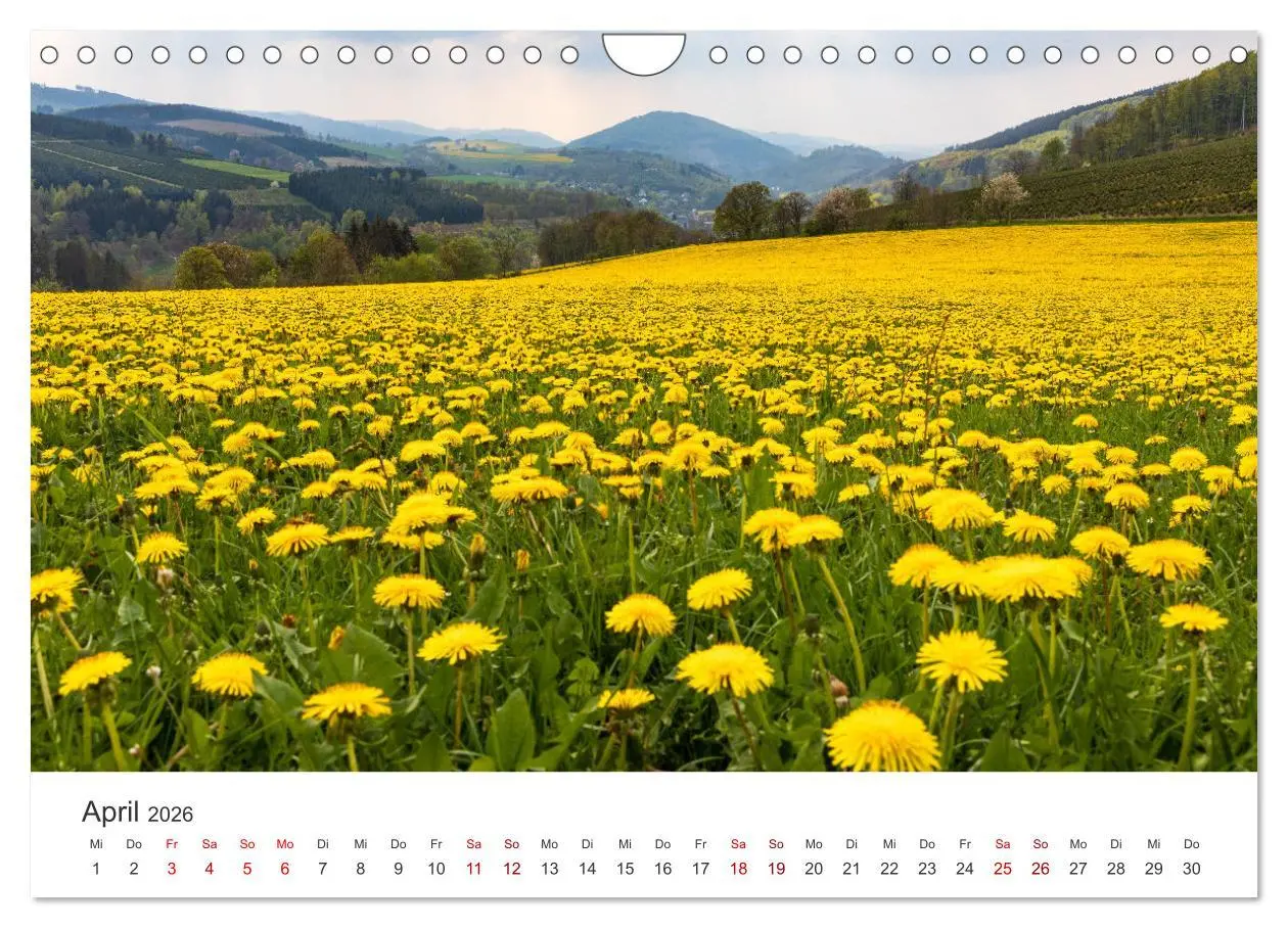 Bild: 9783457552353 | Das Sauerland im Wechsel der Jahreszeiten (Wandkalender 2026 DIN A4...