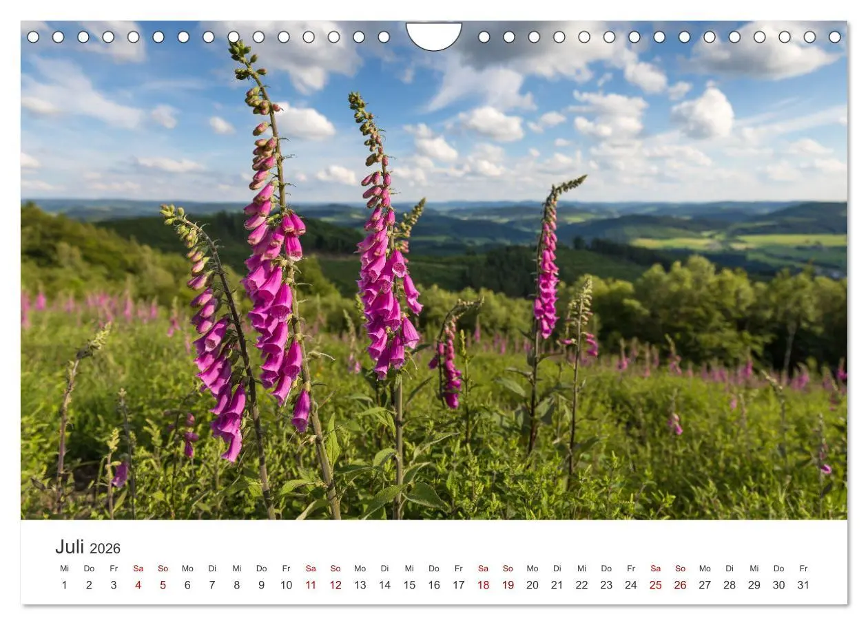 Bild: 9783457552353 | Das Sauerland im Wechsel der Jahreszeiten (Wandkalender 2026 DIN A4...