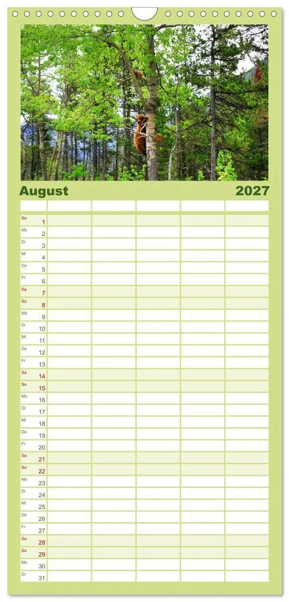 Bild: 9783594312353 | Familienplaner 2027 - KANADA - Die Bären der Rocky Mountains mit 5...