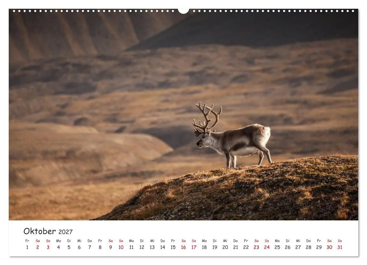 Bild: 9783569722453 | Rentiere (hochwertiger Premium Wandkalender 2027 DIN A2 quer),...