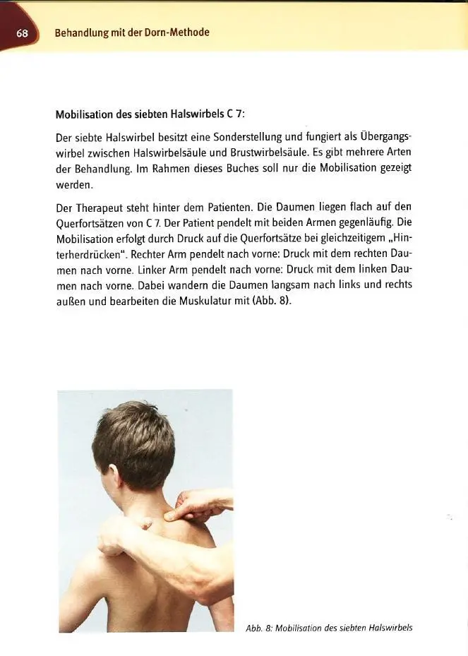 Bild: 9783944002453 | Schmerzfrei mit der Dorn-Methode | Matthias Schwarz | Buch | 268 S.