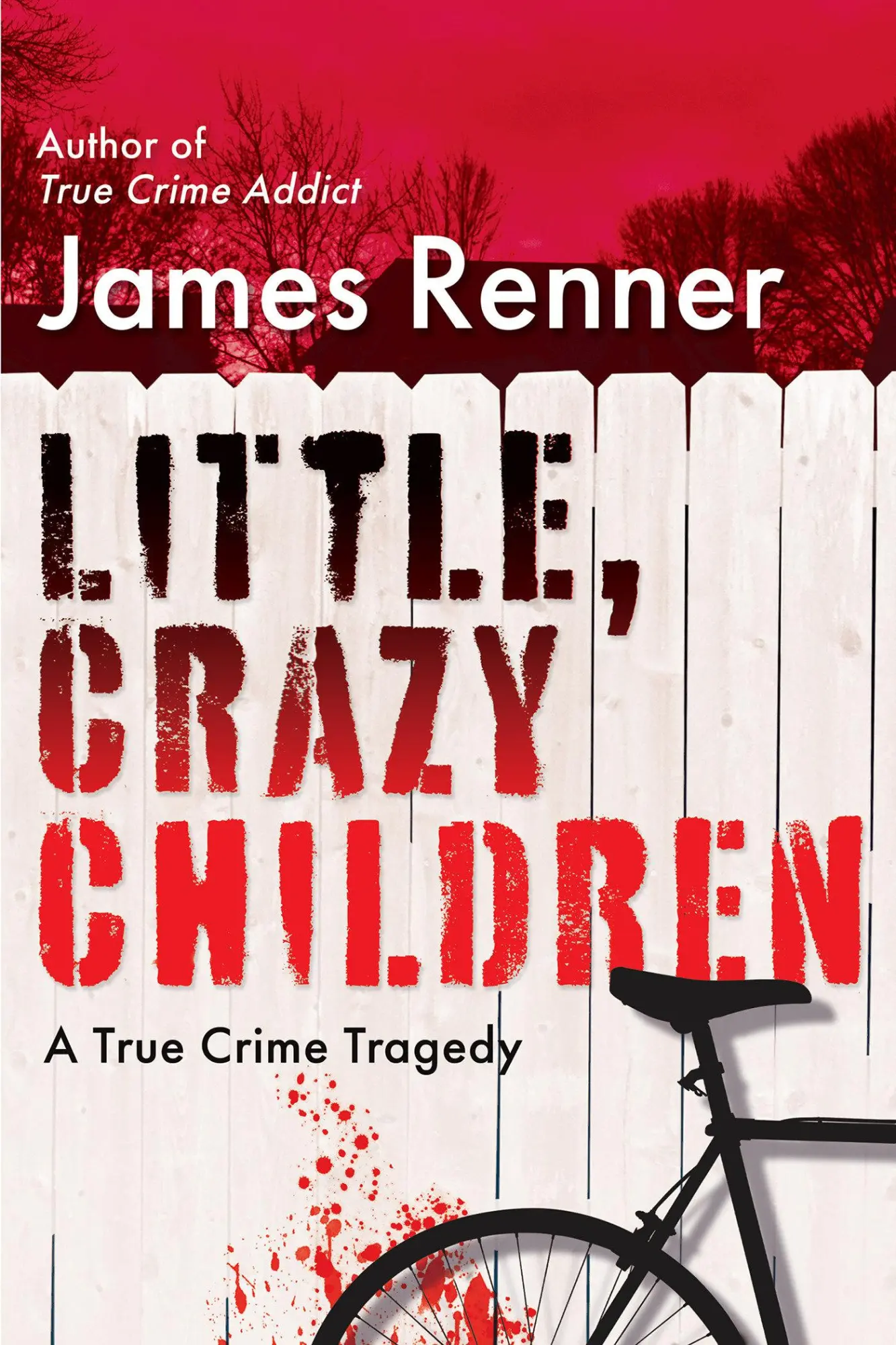 Cover: 9780806542553 | Little, Crazy Children | A True Crime Tragedy of Lost Innocence | Buch