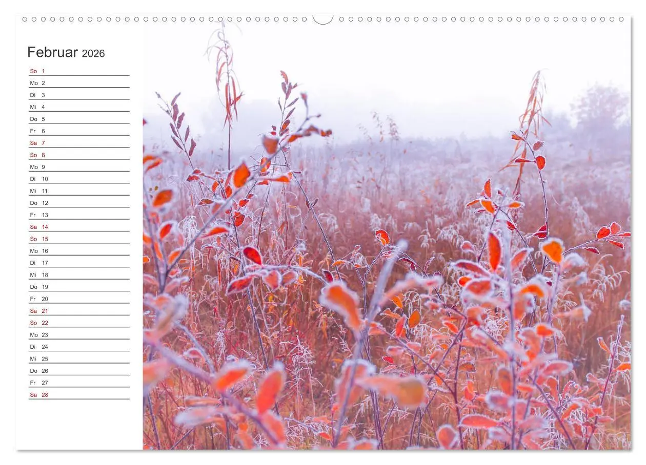 Bild: 9783457842553 | Worpswede - Naturschönheiten im Teufelsmoor (Wandkalender 2026 DIN...