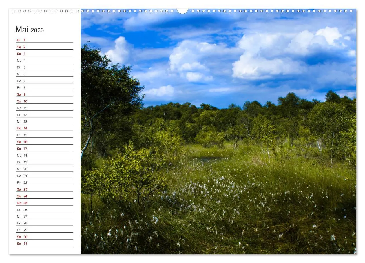 Bild: 9783457842553 | Worpswede - Naturschönheiten im Teufelsmoor (Wandkalender 2026 DIN...