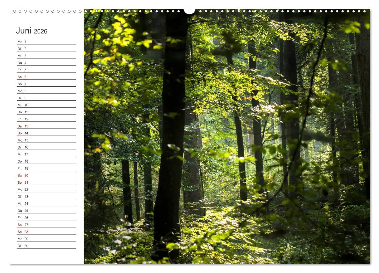 Bild: 9783457842553 | Worpswede - Naturschönheiten im Teufelsmoor (Wandkalender 2026 DIN...