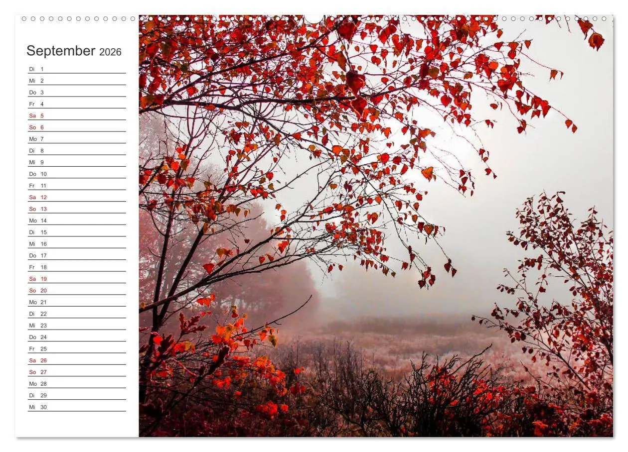 Bild: 9783457842553 | Worpswede - Naturschönheiten im Teufelsmoor (Wandkalender 2026 DIN...