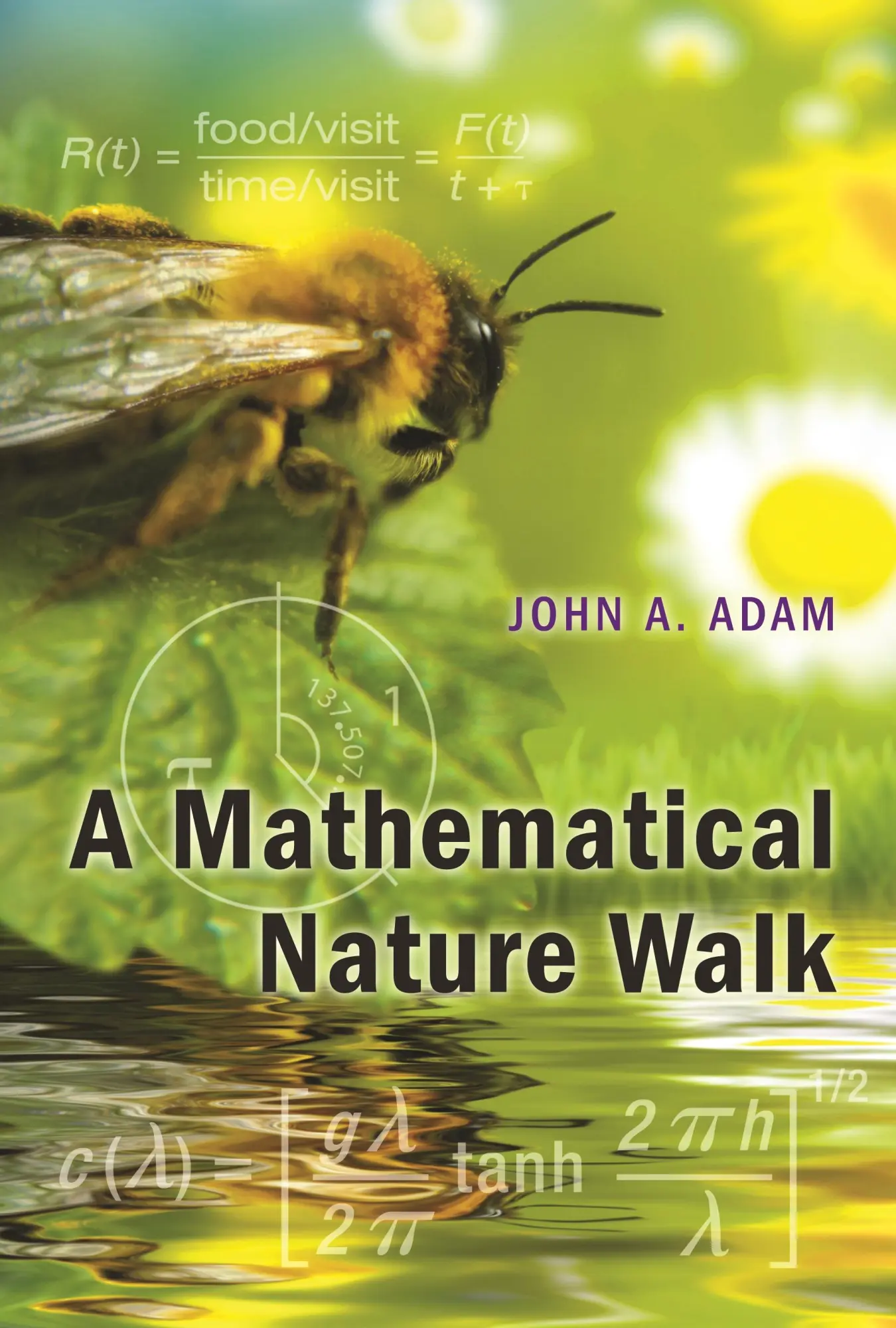 Cover: 9780691152653 | A Mathematical Nature Walk | John Adam | Taschenbuch | Englisch | 2011