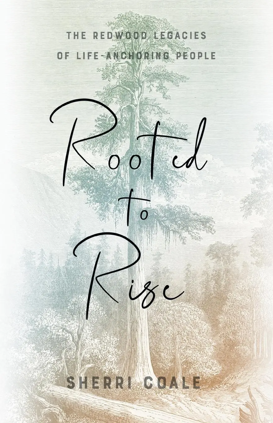 Cover: 9781544532653 | Rooted to Rise | The Redwood Legacies of Life-Anchoring People | Coale