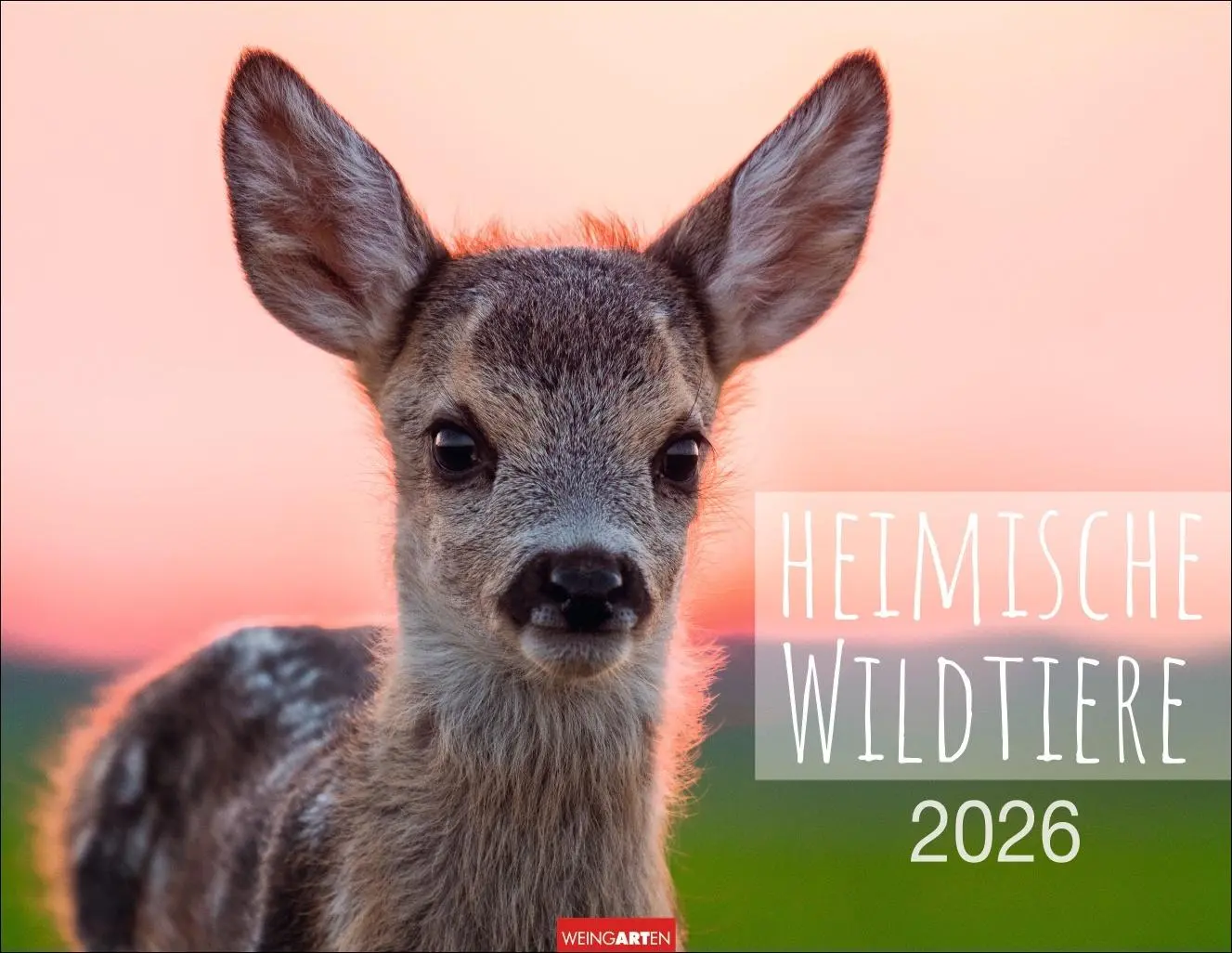 Cover: 9783839902653 | Heimische Wildtiere Kalender 2026 | Kalender | Tierkalender Weingarten