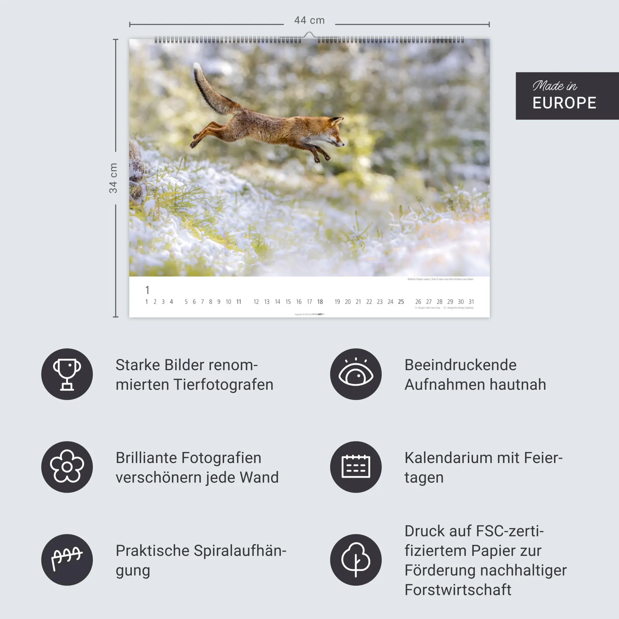 Bild: 9783839902653 | Heimische Wildtiere Kalender 2026 | Kalender | Tierkalender Weingarten