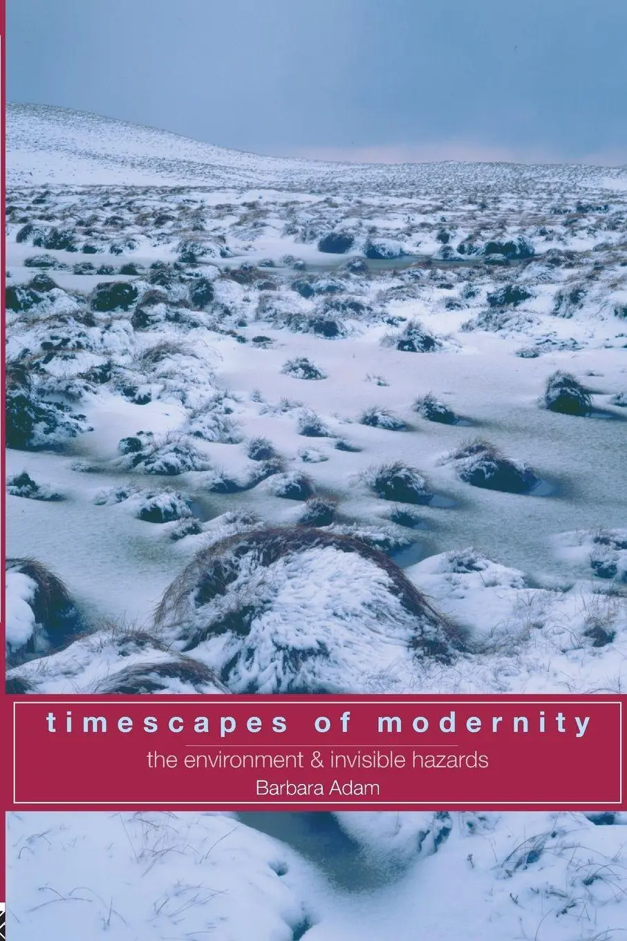 Cover: 9780415162753 | Timescapes of Modernity | The Environment and Invisible Hazards | Adam