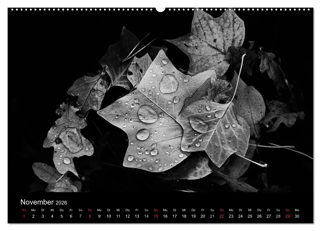 Bild: 9783516152753 | Das Licht in Schwarz und Weiß (hochwertiger Premium Wandkalender...