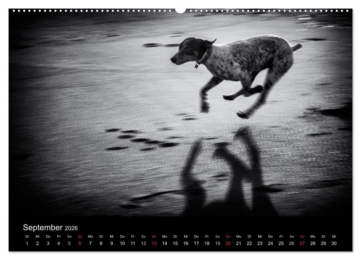 Bild: 9783516152753 | Das Licht in Schwarz und Weiß (hochwertiger Premium Wandkalender...