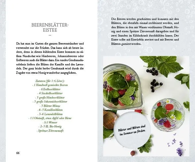Bild: 9783710402753 | Fräulein Grüns wilde Getränke aus der Natur | Karina Nouman | Buch