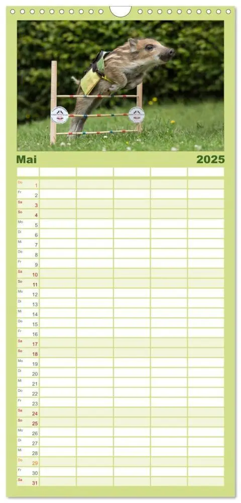 Bild: 9783457122853 | Familienplaner 2025 - Kleine Schweinereien mit 5 Spalten...