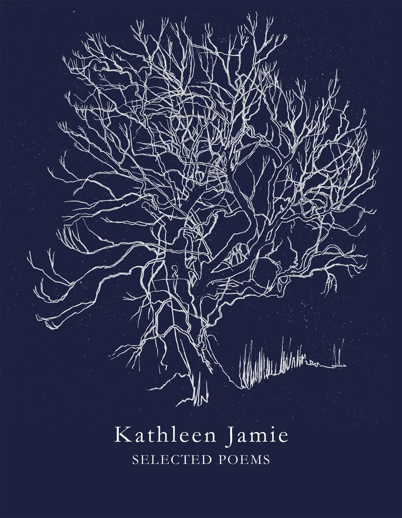 Cover: 9781509882953 | Selected Poems | Kathleen Jamie | Taschenbuch | Englisch | 2018
