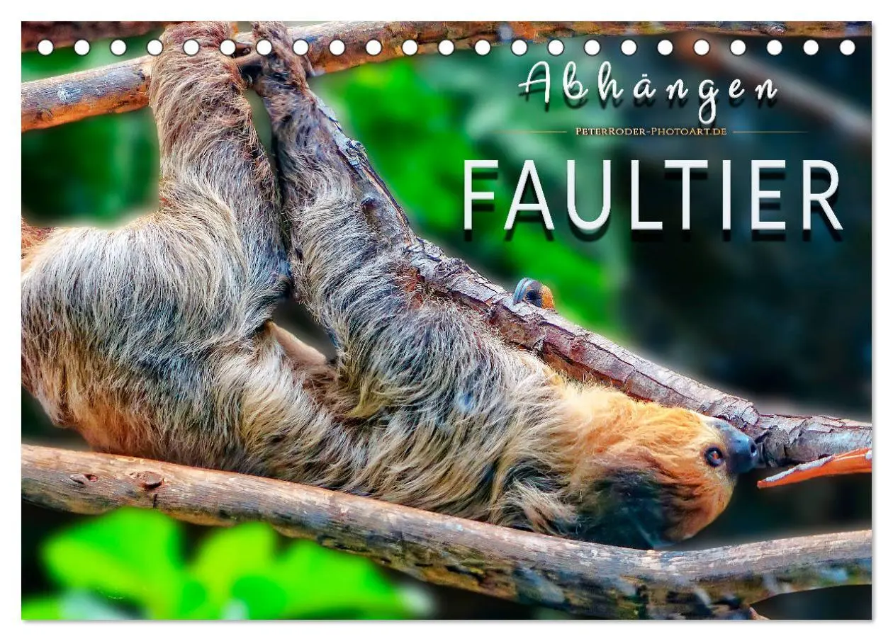 Cover: 9783435332953 | Abhängen - Faultier (Tischkalender 2025 DIN A5 quer), CALVENDO...