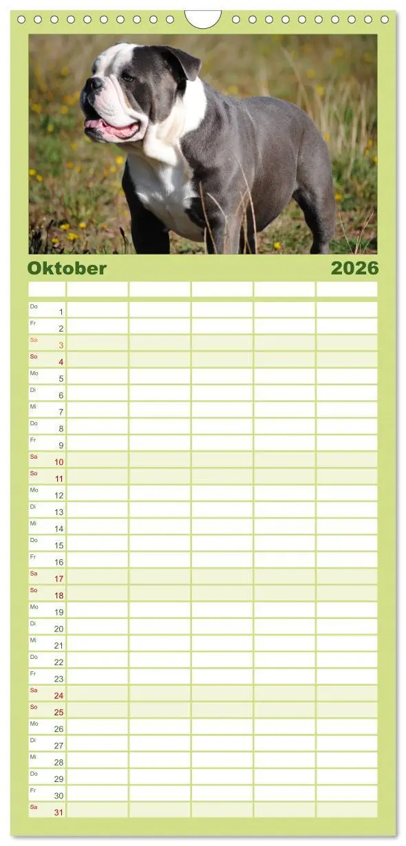 Bild: 9783516512953 | Familienplaner 2026 - Faszination Bulldogge mit 5 Spalten...