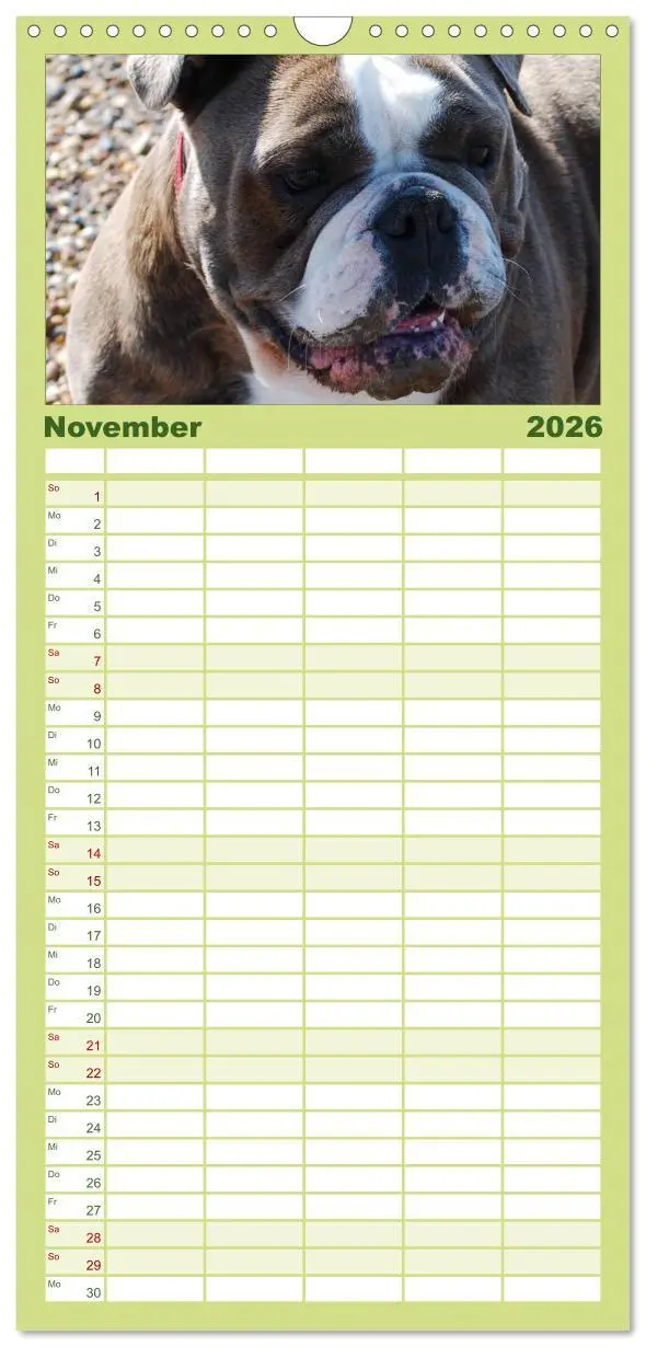 Bild: 9783516512953 | Familienplaner 2026 - Faszination Bulldogge mit 5 Spalten...