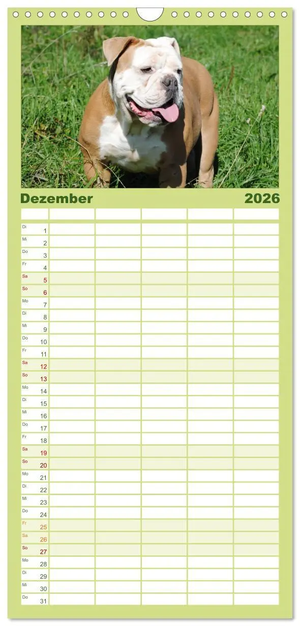 Bild: 9783516512953 | Familienplaner 2026 - Faszination Bulldogge mit 5 Spalten...