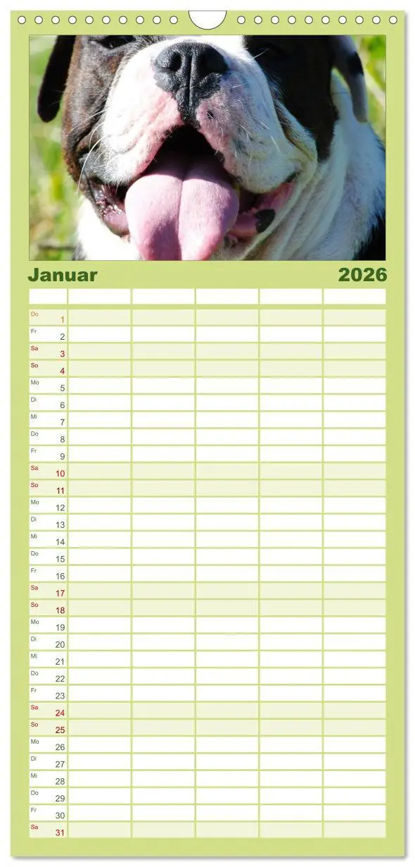 Bild: 9783516512953 | Familienplaner 2026 - Faszination Bulldogge mit 5 Spalten...