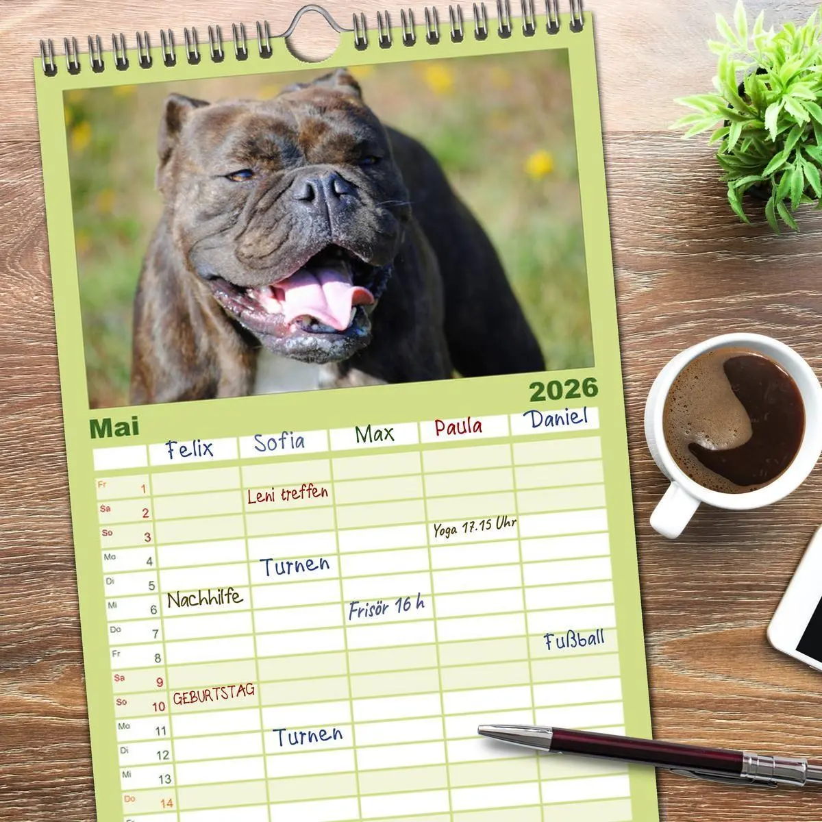 Bild: 9783516512953 | Familienplaner 2026 - Faszination Bulldogge mit 5 Spalten...