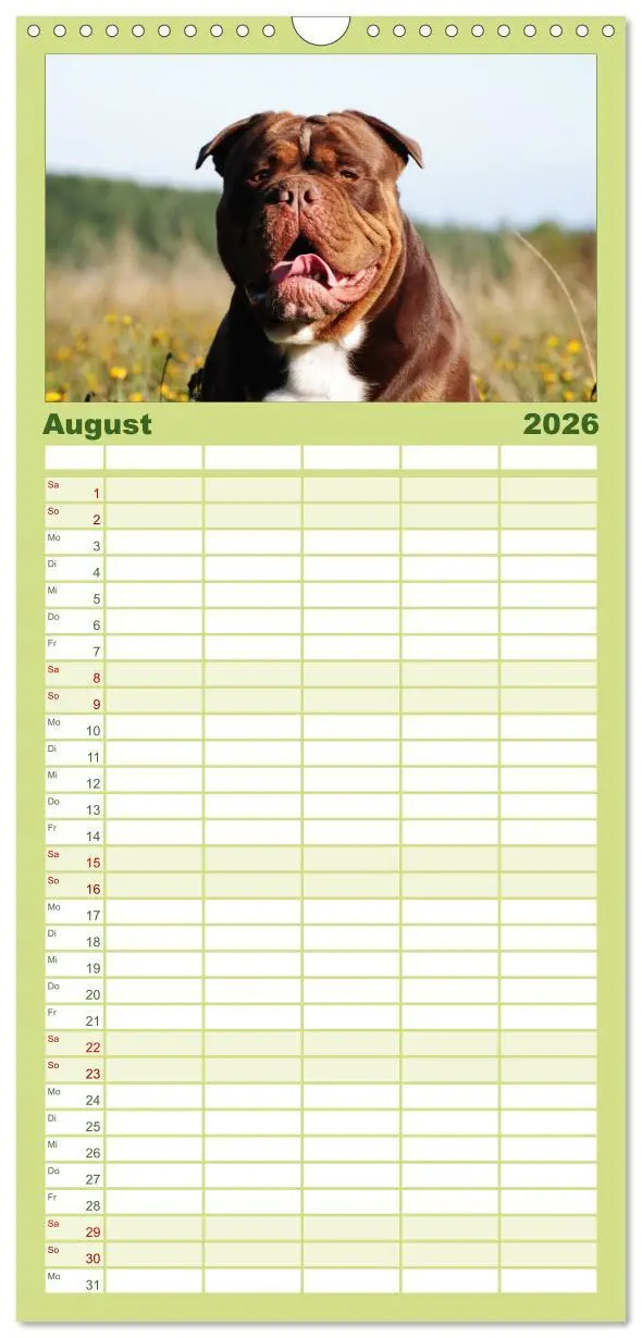 Bild: 9783516512953 | Familienplaner 2026 - Faszination Bulldogge mit 5 Spalten...