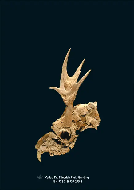 Bild: 9783899372953 | Der geologische Lehrpfad im Steinheimer Meteorkrater | Reiff (u. a.)