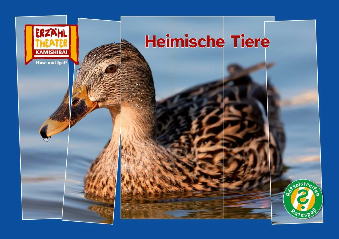 Cover: 4260505833053 | Rätselstreifen Ratespaß: Heimische Tiere / Kamishibai Bildkarten