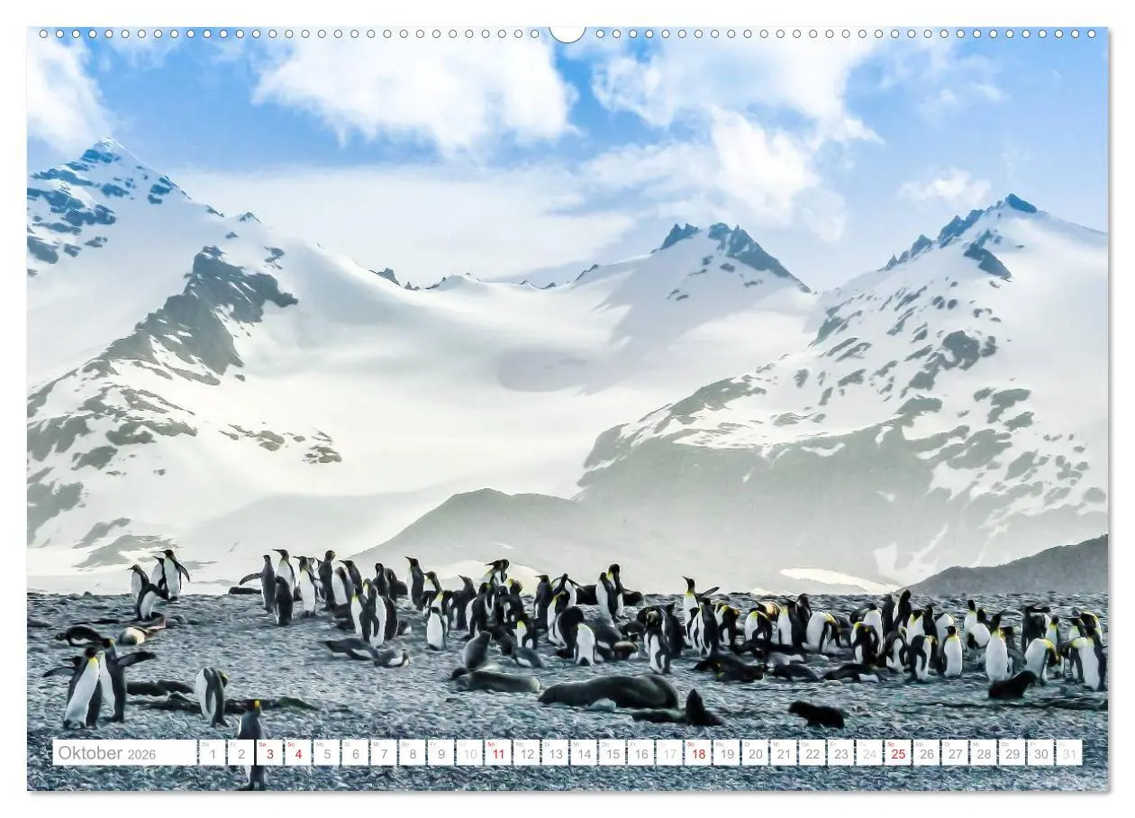 Bild: 9783516193053 | Antarktis - Das Reich der Pinguine (Wandkalender 2026 DIN A2 quer),...