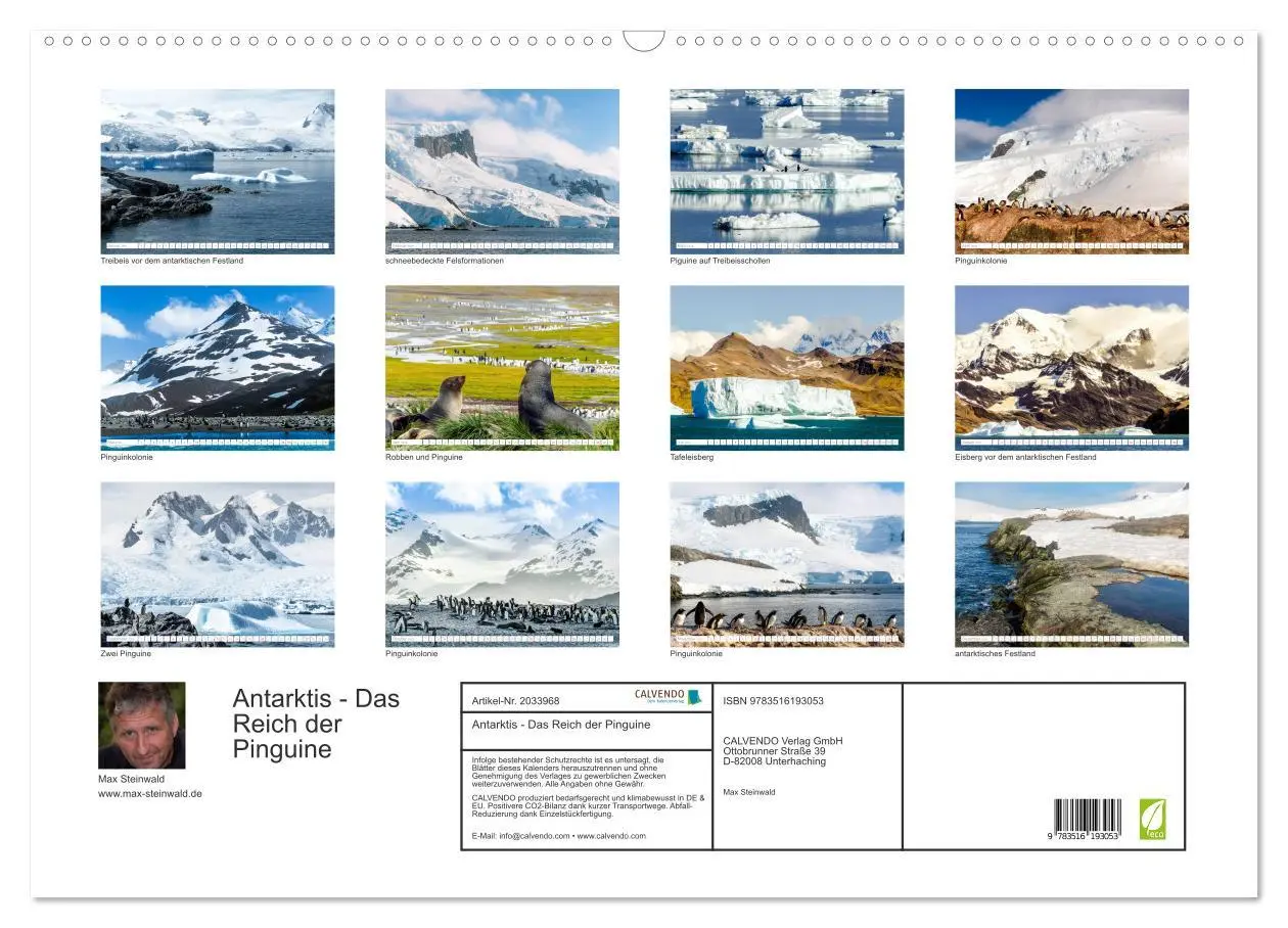Bild: 9783516193053 | Antarktis - Das Reich der Pinguine (Wandkalender 2026 DIN A2 quer),...