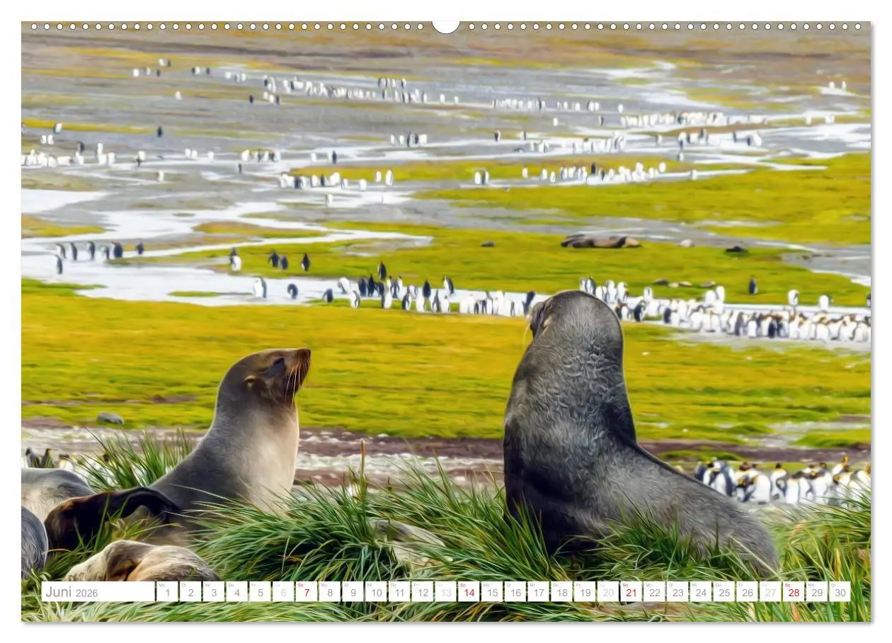 Bild: 9783516193053 | Antarktis - Das Reich der Pinguine (Wandkalender 2026 DIN A2 quer),...