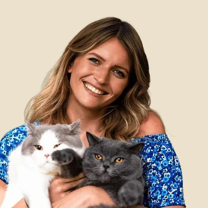 Autor: 9783989353053 | Katzen-Wahnsinn zum Mitlachen | Sina Pollok | Taschenbuch | 312 S.
