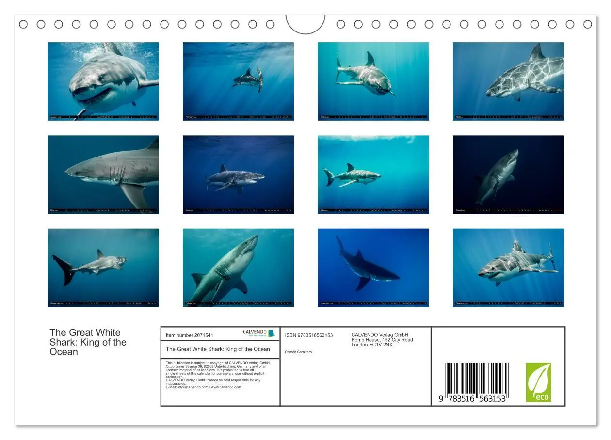 Bild: 9783516563153 | The Great White Shark: King of the Ocean (Wall Calendar 2026 DIN A4...