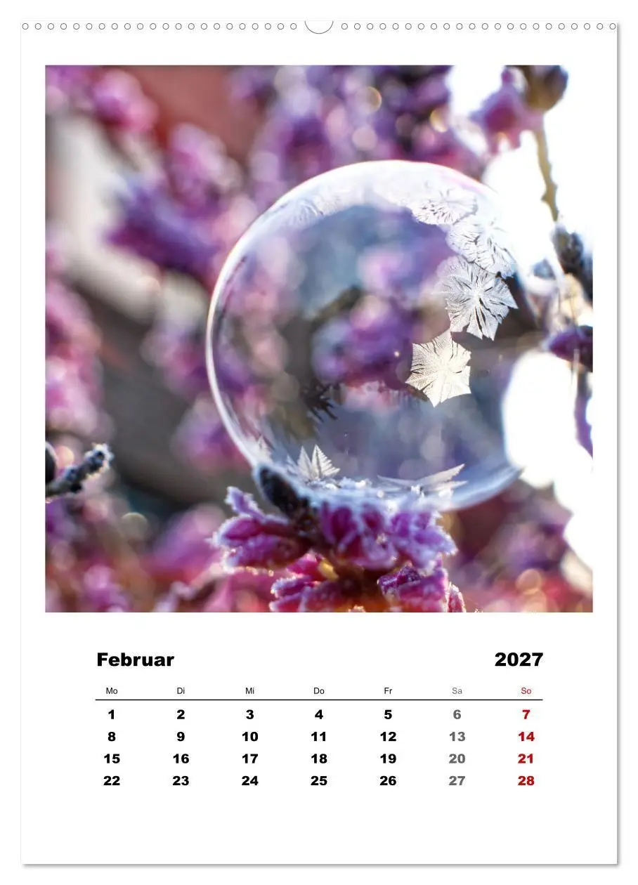 Bild: 9783569413153 | Frostige Seifenblasen (hochwertiger Premium Wandkalender 2027 DIN...