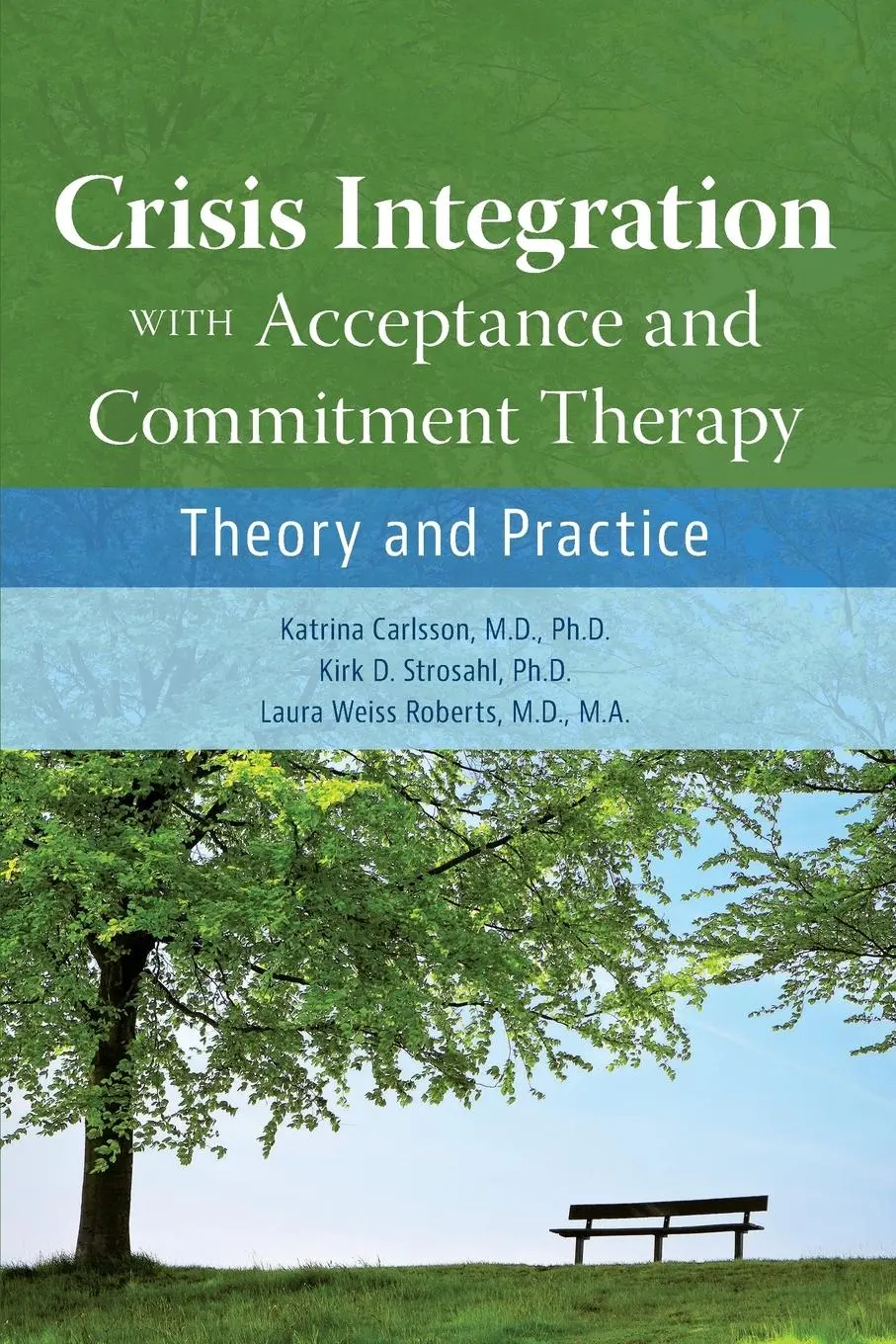 Cover: 9781615373253 | Crisis Integration With Acceptance and Commitment Therapy | Buch