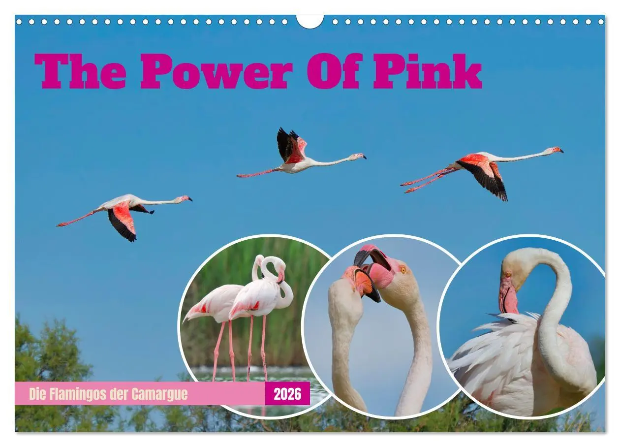Cover: 9783457393253 | The Power Of Pink (Wandkalender 2026 DIN A3 quer), CALVENDO...