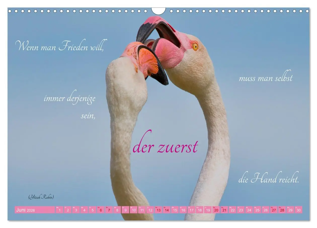 Bild: 9783457393253 | The Power Of Pink (Wandkalender 2026 DIN A3 quer), CALVENDO...