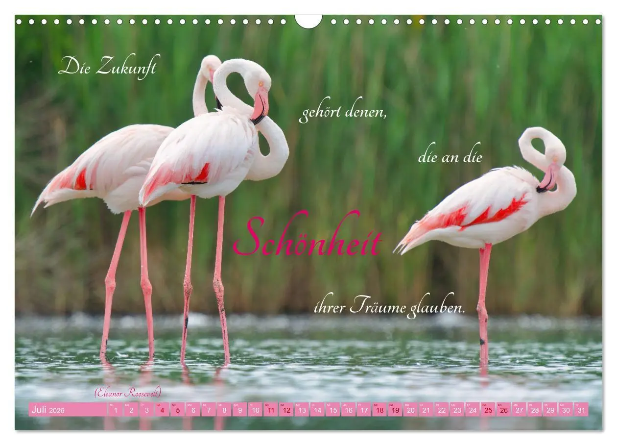 Bild: 9783457393253 | The Power Of Pink (Wandkalender 2026 DIN A3 quer), CALVENDO...